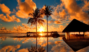 TropicalSunrise